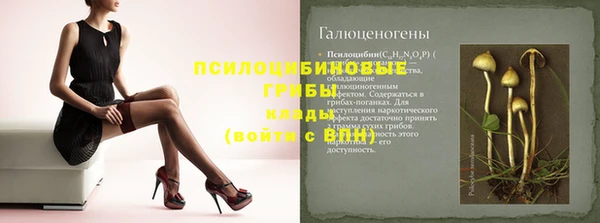 МДПВ Абинск